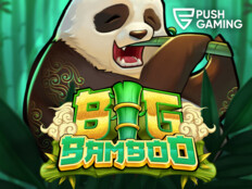 New casino slot8